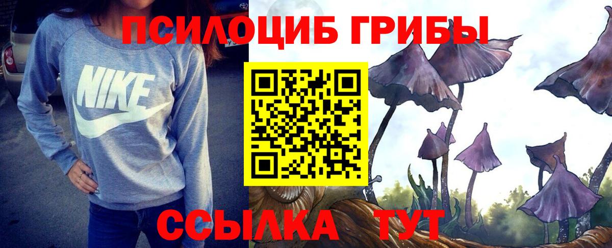 Псилоцибиновые грибы ЛСД Тверь