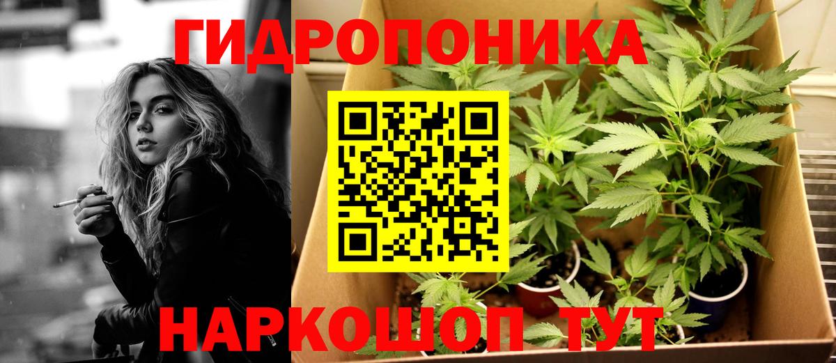 Конопля MAZAR  Бошки марихуана ГИДРОПОН  Тверь  МАРИХУАНА THC 21%  Вход с VPN  МАРИХУАНА ГИДРОПОН 