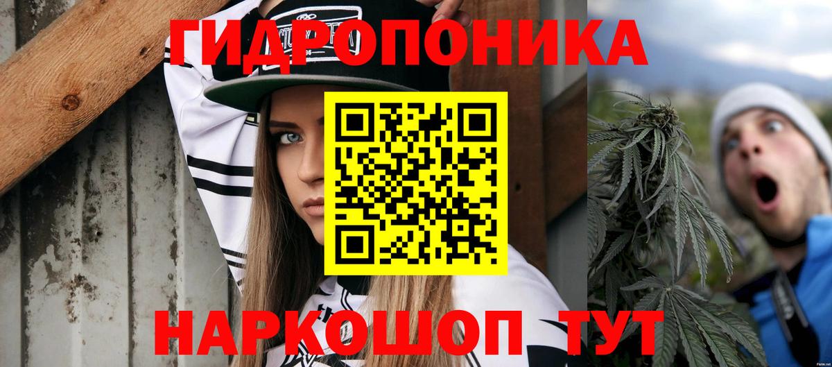 Бошки марихуана гибрид Тверь